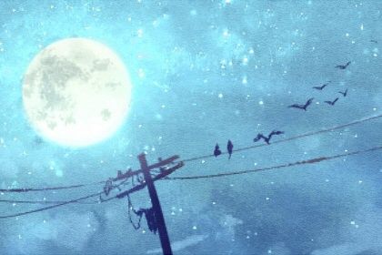 2023年哪个山向大利 2023流年大利山向解析 2023年哪个山向大利 2023流年大利山向解析