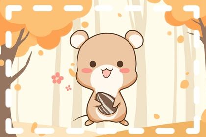 1984年属鼠的正缘 84年属鼠人的桃花年份 1984年属鼠的正缘 84年属鼠人的桃花年份